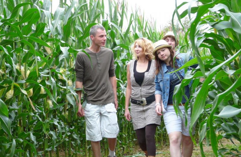 2019-labyrinthe-végétal-naturalparc-st-laurent-des-autels-49-levignobledenantes