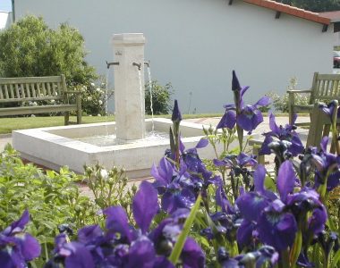 Balade au royaume des fleurs !