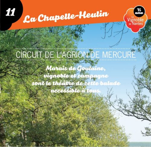 Fiche circuit de l’Agrion de Mercure