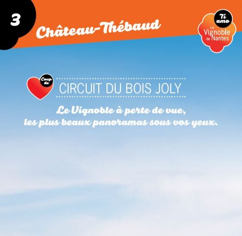 Fiche circuit coup de cœur le bois joli à Château-Thébaud
