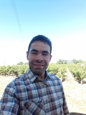 domaine duaux vignerons agapes muscadetours 2019 le vignoble de nantes