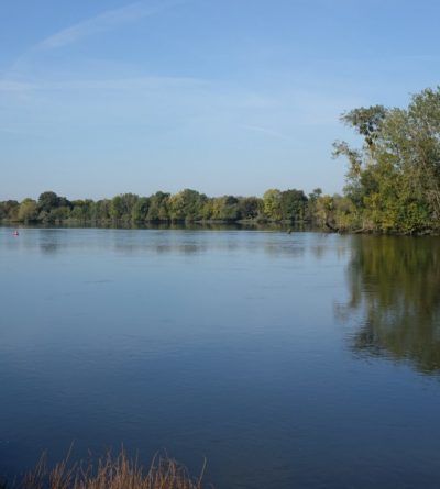 Séjour Vendanges et Patrimoine :  la Loire