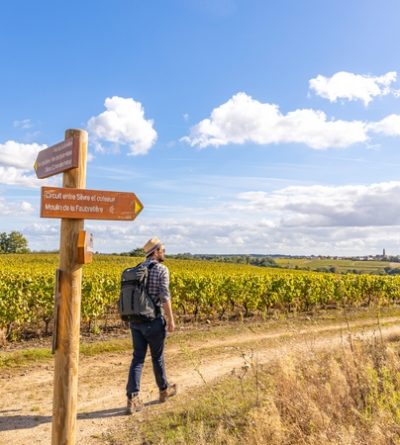 page randonnees vignoble de nantes en avant