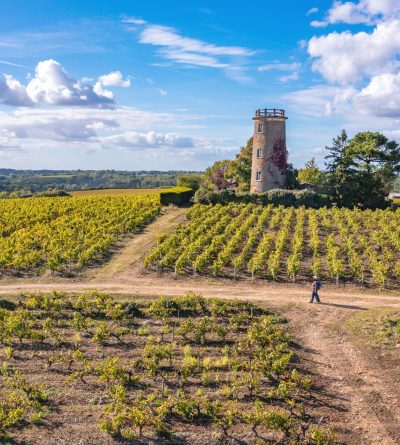 Randonnez dans le Vignoble de Nantes ! - Crédit : Clo&Clem
