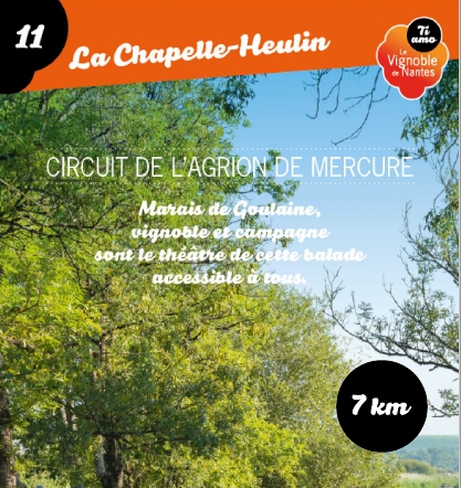 Fiche circuit de l’Agrion de Mercure