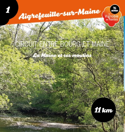 Fiche circuit entre bourg et Maine à Aigrefeuille sur Maine