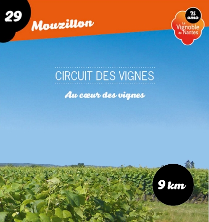 Fiche circuit les vignes à Mouzillon