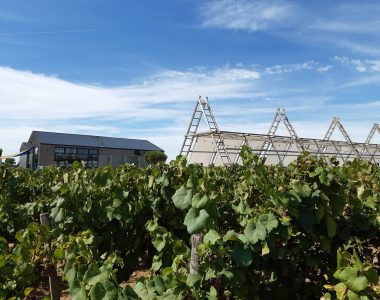 Les guinguettes du Vignoble de Nantes