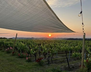 Les guinguettes du Vignoble de Nantes