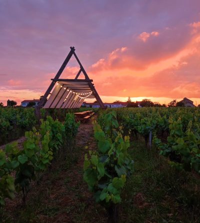 Guinguette la Huchette - Domaine Jérémie Huchet