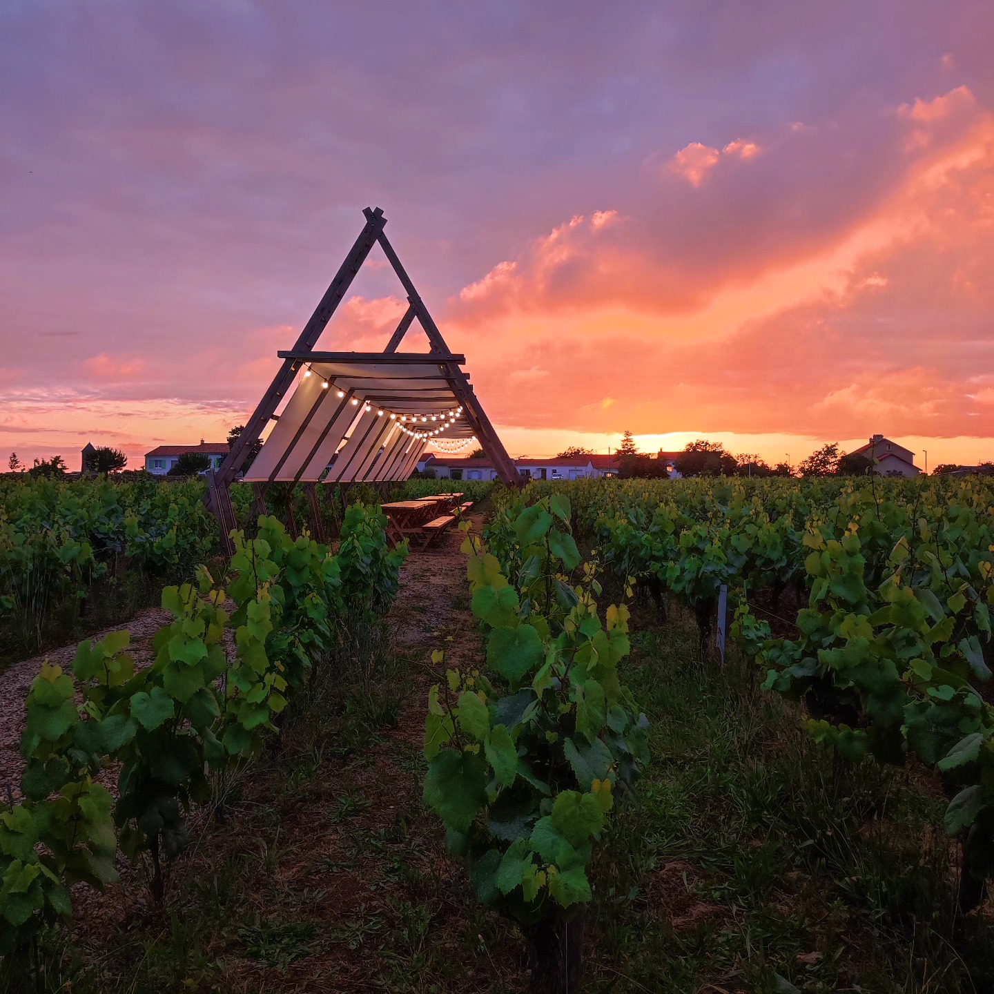 Guinguette la Huchette - Domaine Jérémie Huchet