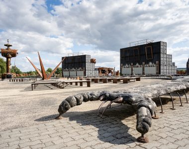 48 h Rock & Muscadet : visite du site Hellfest et vignes du Vignoble Nantais