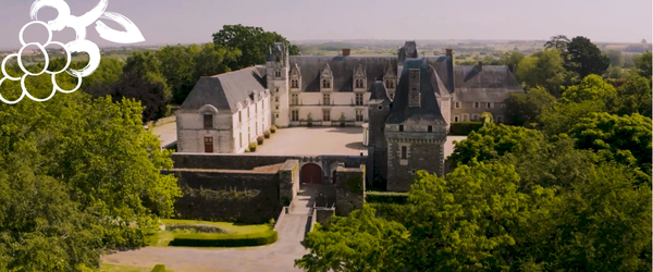 Vacances de la toussaint : Marais de Goulaine et Château de Goulaine