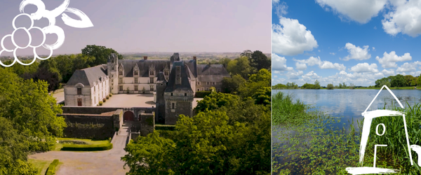 Vacances de la toussaint : Marais de Goulaine et Château de Goulaine