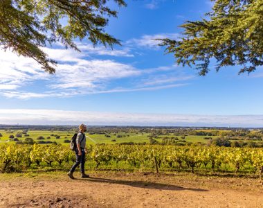 Week-end randonnée dans le Vignoble Nantais : balades nature et pause terroir