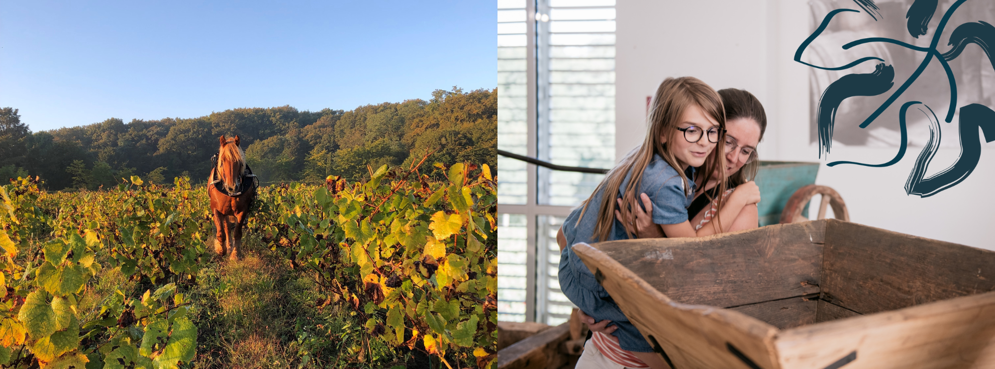 Printemps de découvertes au Musée du Vignoble Nantais