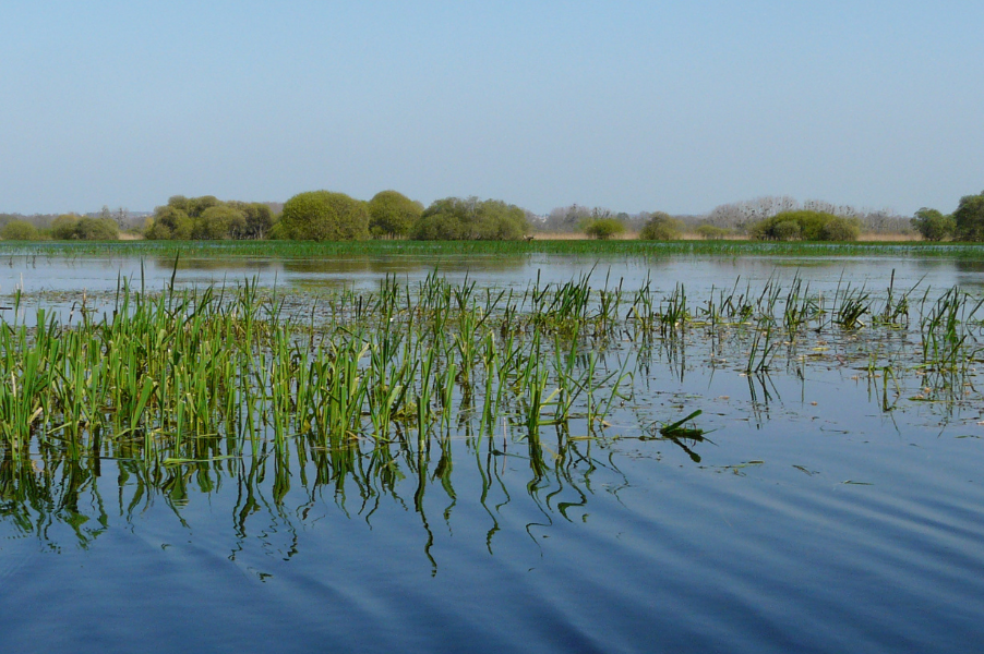 Vue du Circuit des Marais depuis la Maison Bleue. Vue sur les marais de Goulaine depuis la Maison Bleue