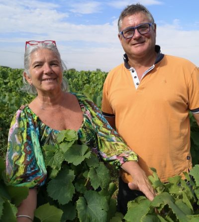 Domaine de la Grange Hardy – Mouzillon