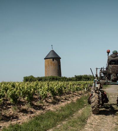 Domaine Ménard-Gaborit – Monnières