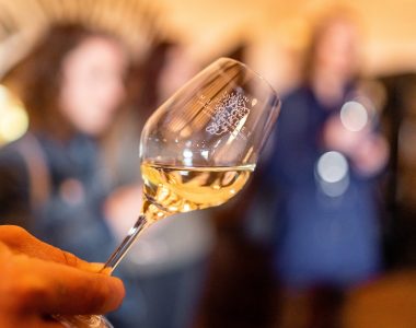 Week end dégustation vin près de Nantes : deux jours entre caves d’excellence, vignes et Muscadet