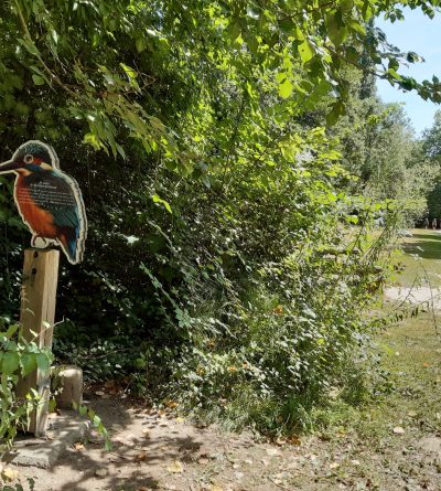 Parc Henri IV et mobilier oiseau