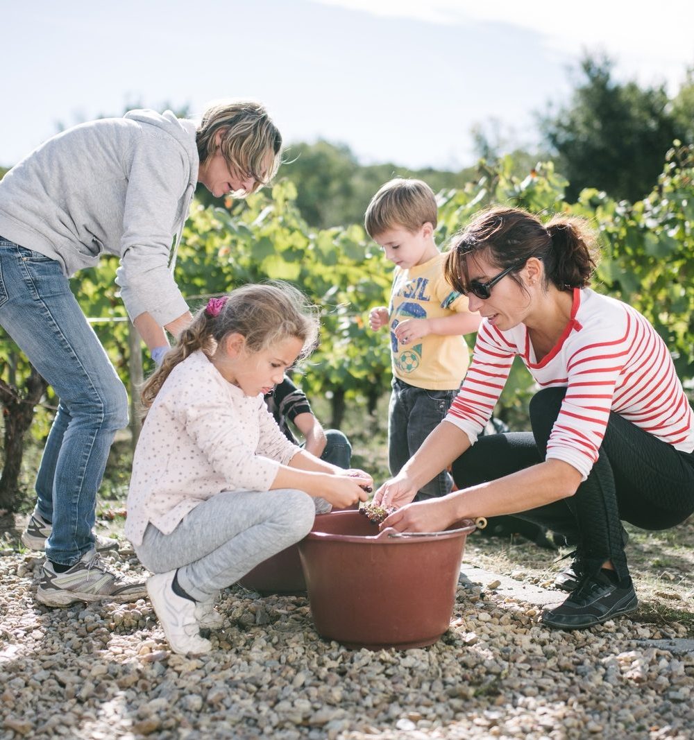 vendanges 2025 en famille au musée du vignoble nantais