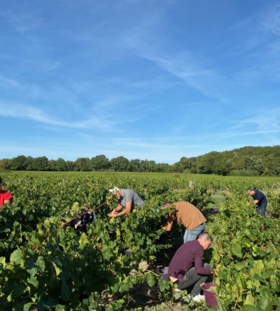 Séjour Vendanges 2025 et Patrimoine