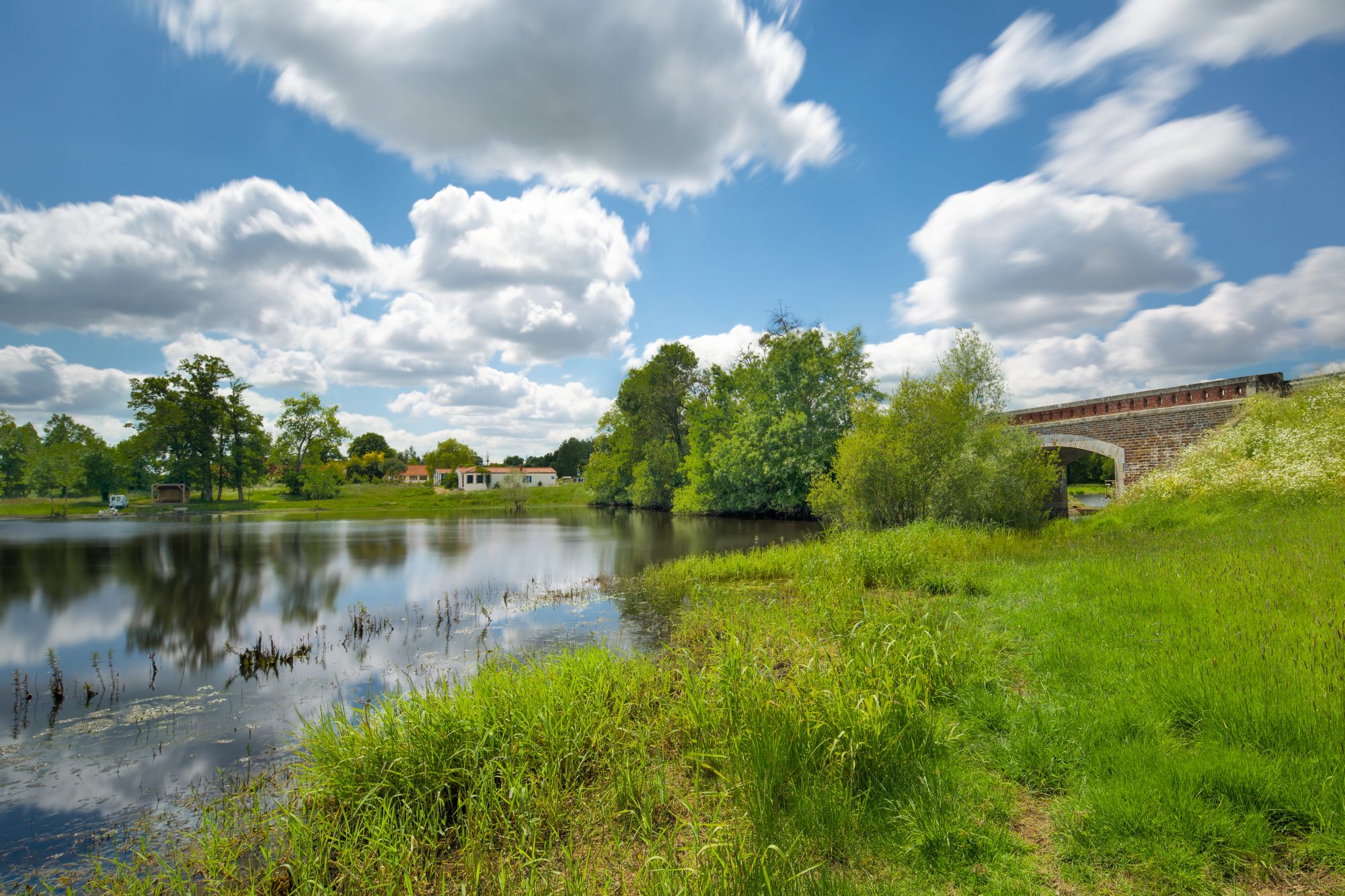 Observation d’oiseaux au Marais de Goulaine : Pont de l'Ouen
