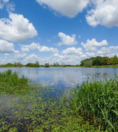 Observation d’oiseaux au Marais de Goulaine