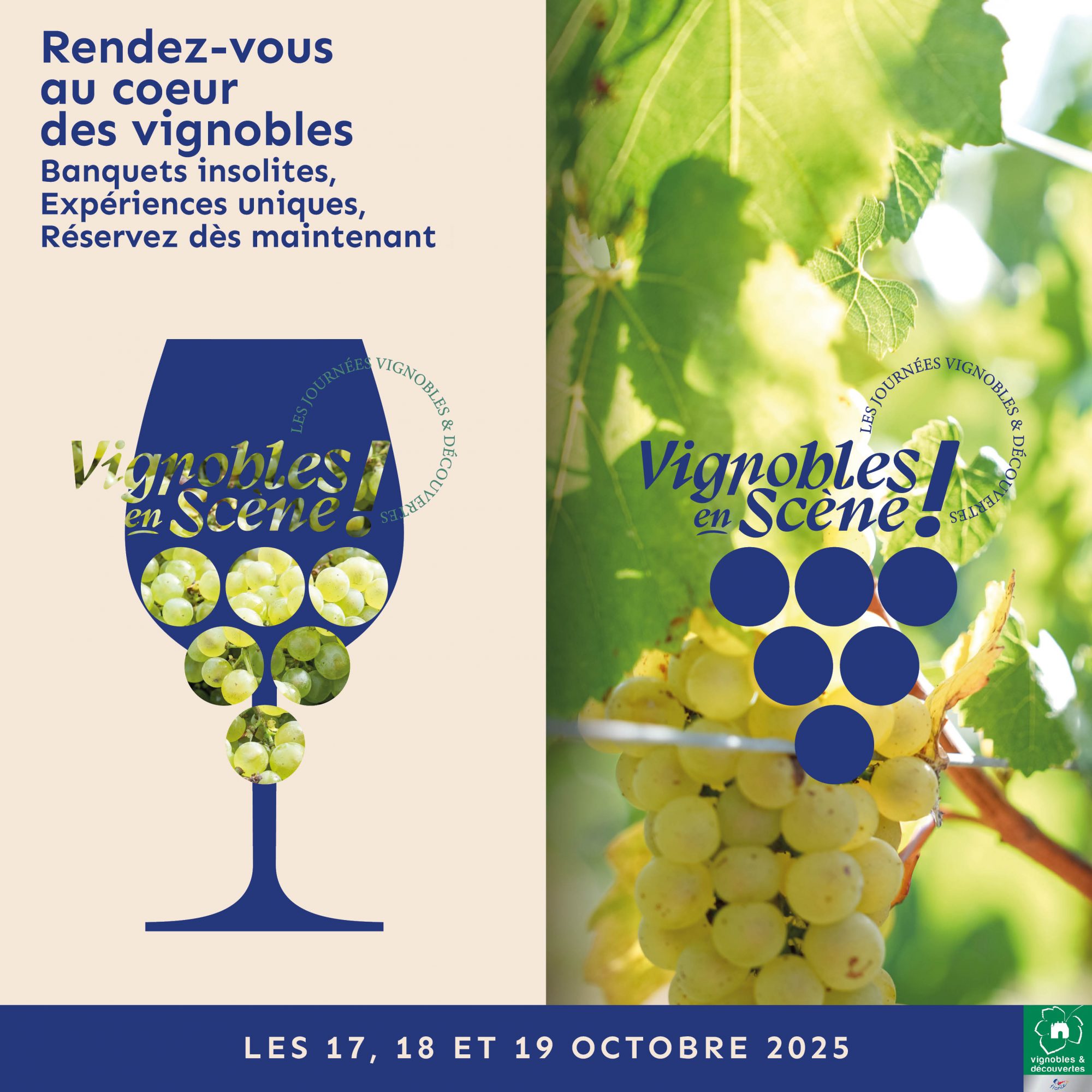 Vignobles en scène