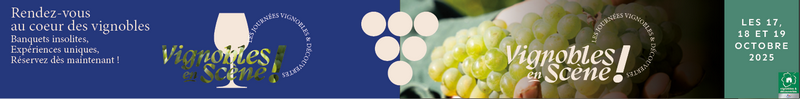 vignobles en scene dans le vignoble nantais