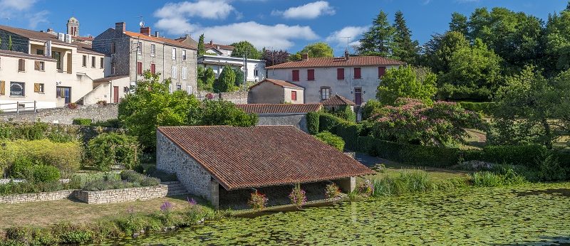 © D.Drouet-Montfaucon) – Copie