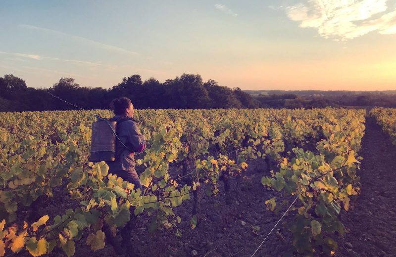 Hélène LANDRON et la biodynamie