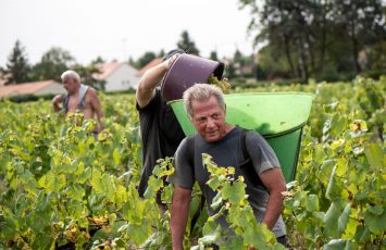 Domaine Henri Poiron