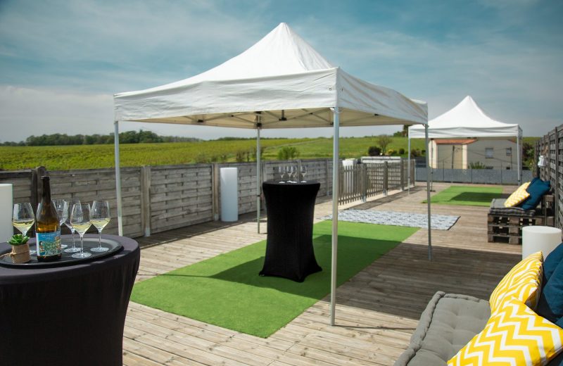 Terrasse vue sur vignes