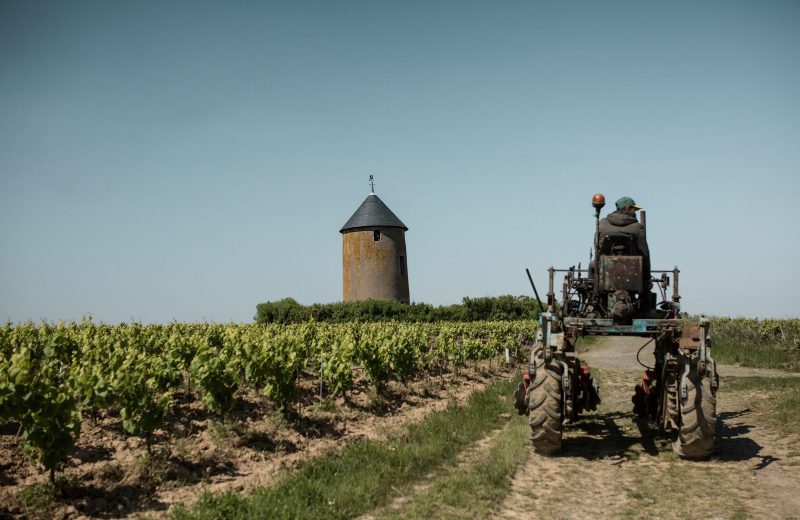 Domaine Ménard Gaborit3