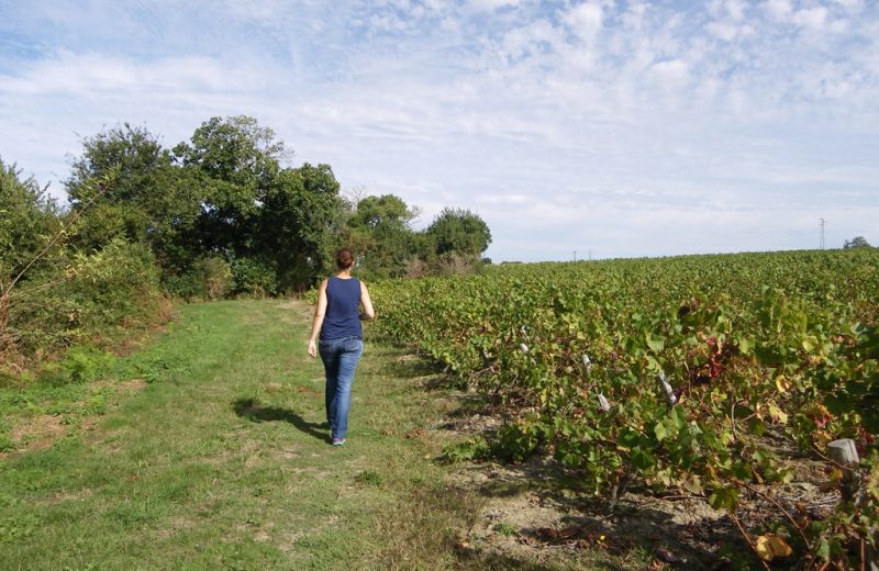 circuit-hte-chapelle-LCBM-levignoblenantes-tour (2)