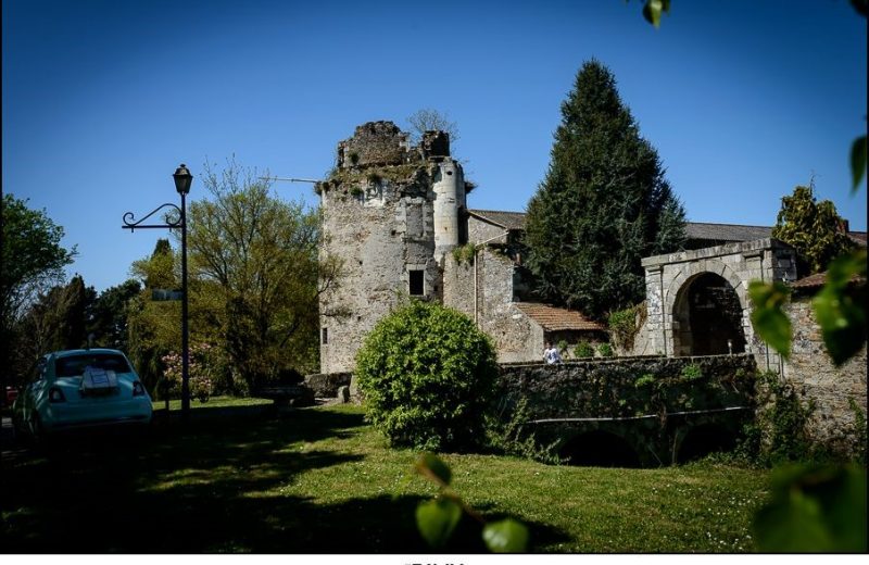 2018-seminaire-chateau-galissonniere2-le-pallet-44-levignobledenantes-tourisme
