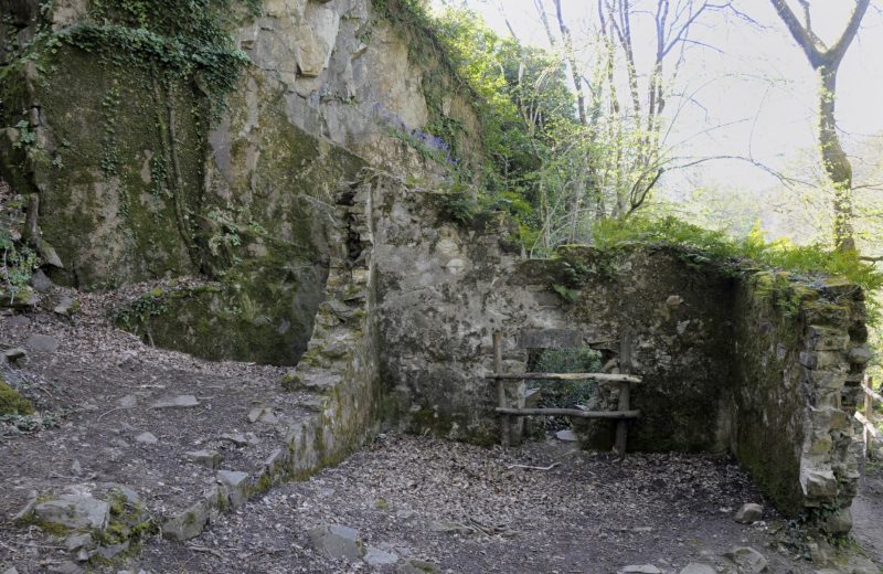ancienne forge située en amont du parc