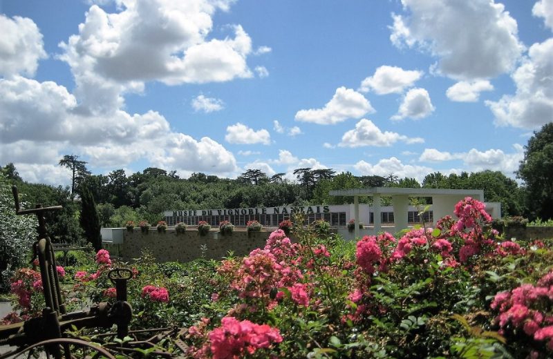 84137 – Musée du Vignoble Nantais