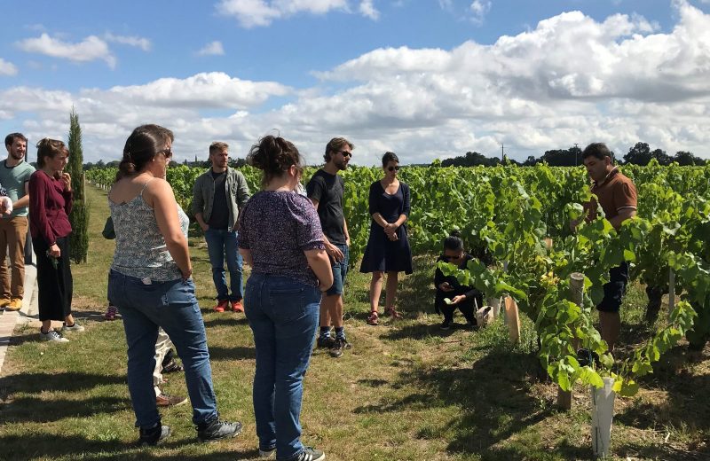 degustation-domaine-R-de-la-grange-2-le-vignoble-de-nantes-pages-groupes