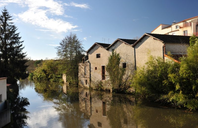 peche-montfaucon-montigne-sevremoine-nantes-cholet-osezmauges-anjou-vendee