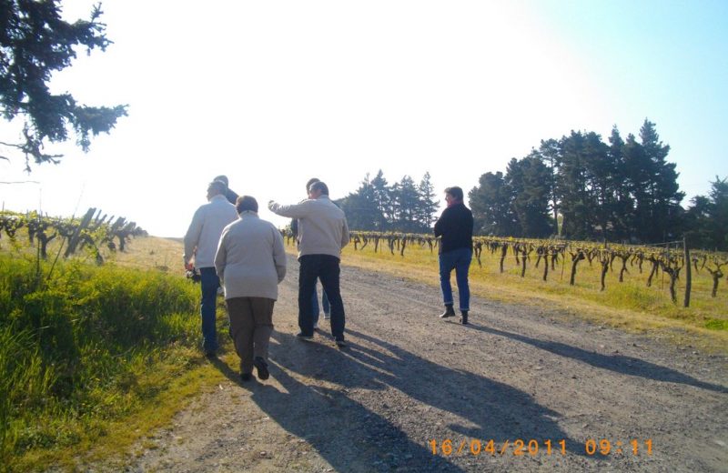 2014-chateaudelagalissonniere-domaineviti-lepallet-44-DEG