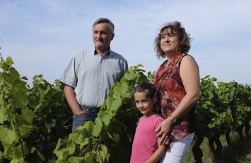DOMAINES VINET
