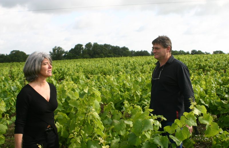 2016-cave-domaine-de-la-grange-mouzillon-44-levignobledenantes-tourisme-DEG (9)
