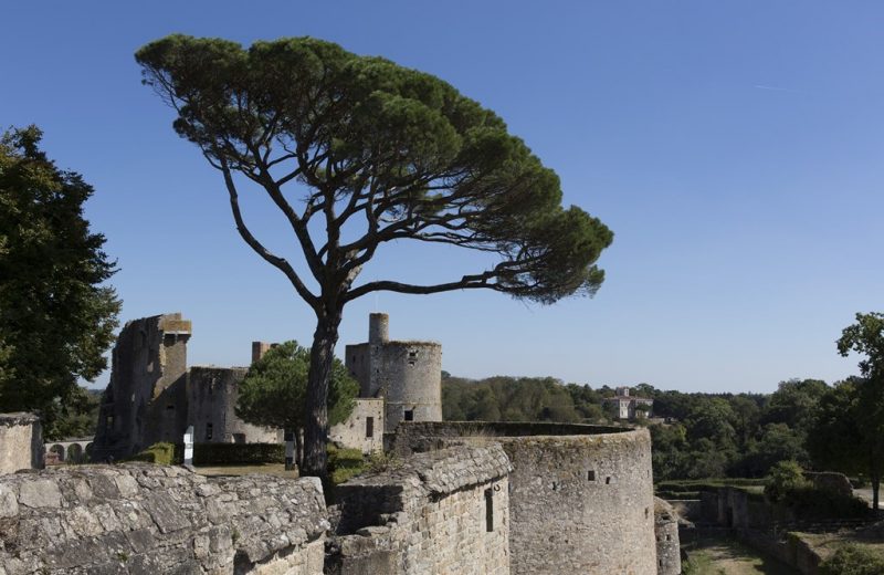 2016-chateau-clisson-44©Neveu-Derotrie-GPLA-levignobledenantes-tourisme-PCU (2)