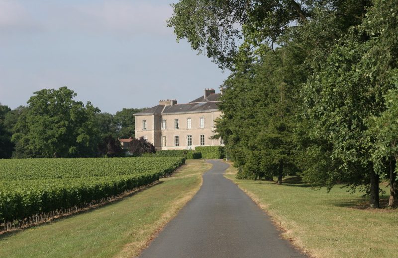 visite art et histoire chateau du cleray le vignoble de nantes