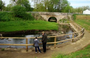 2018-coulee-logne-vallet-vignoblenantes-tourisme (4)