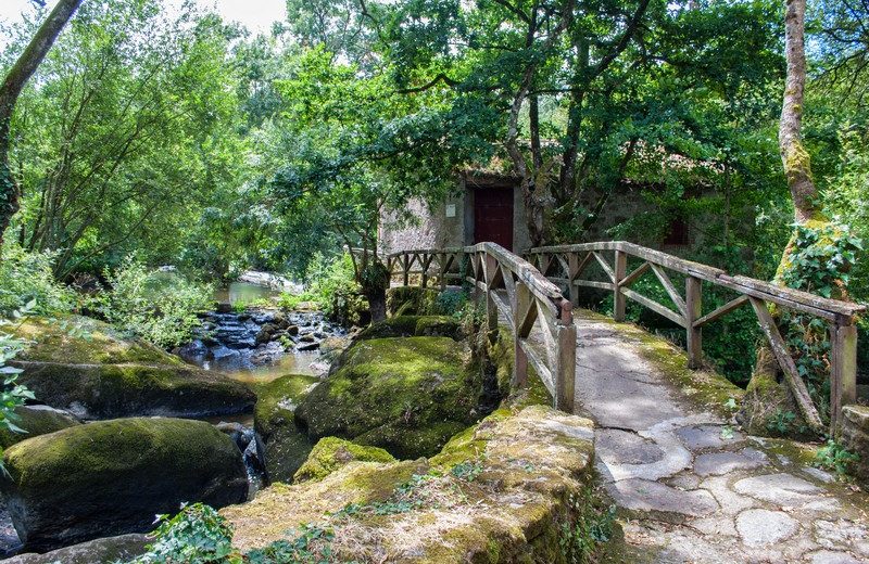 2020-Moulin à Foulon-Gîtes  du Moulin Neuf – Gétigné-44-levignobledenantes