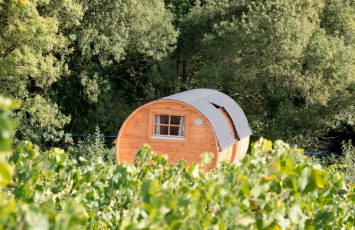 2018GT-tonneaux-vignoble-Marchais-thouare-44-levignobledenantes-tourisme